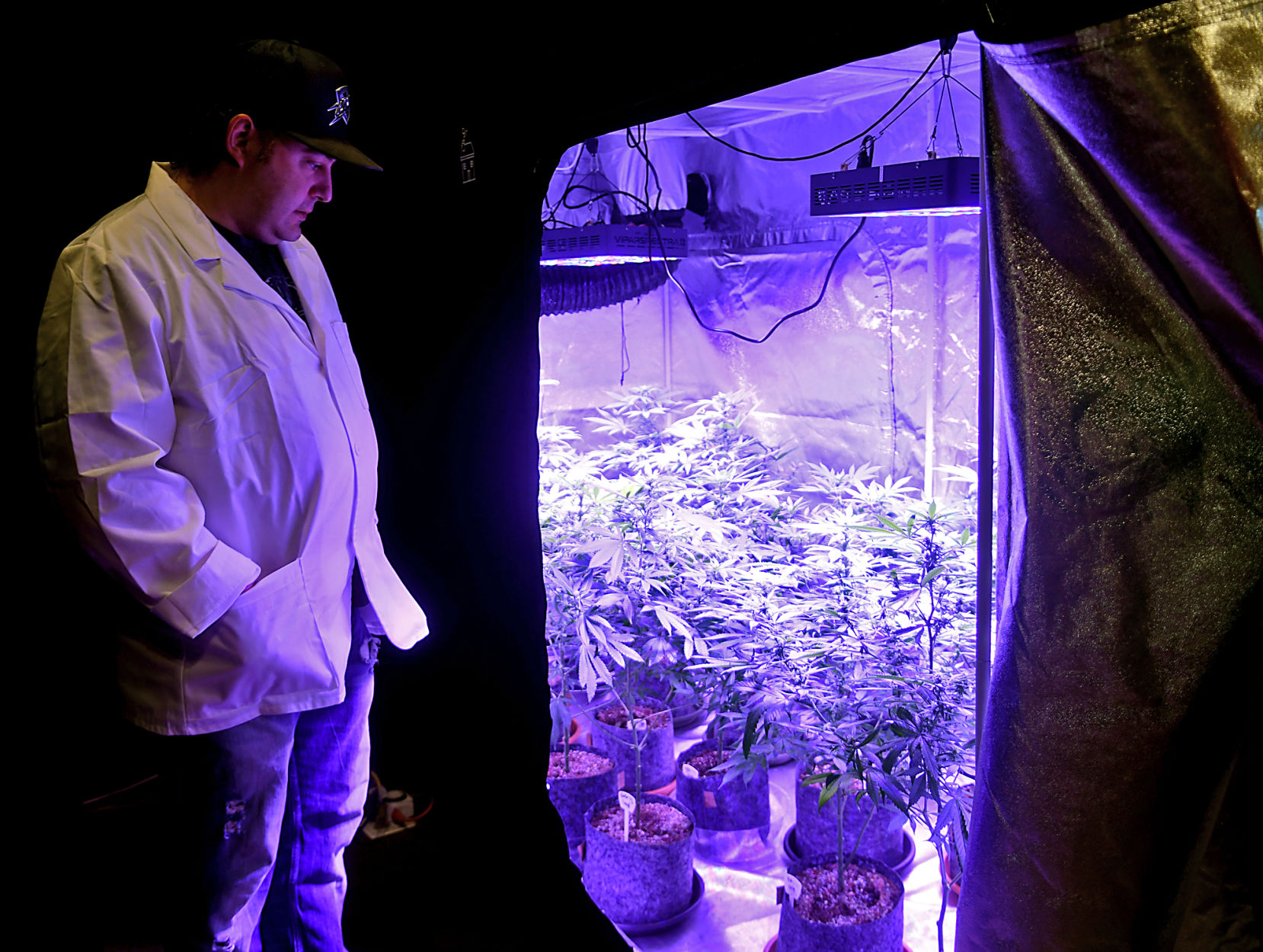 Progress Marijuana